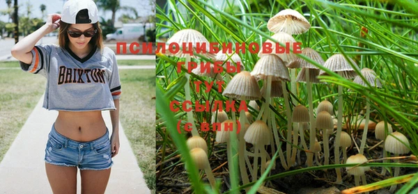 прущая мука Армянск