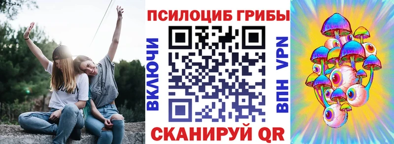 Псилоцибиновые грибы Psilocybine cubensis Мегион